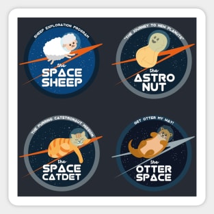 Astronomy Puns | Gift Ideas | Funny Space Mission Patch Sticker